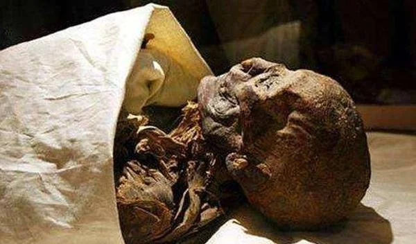 梦见死人尸骨_2
