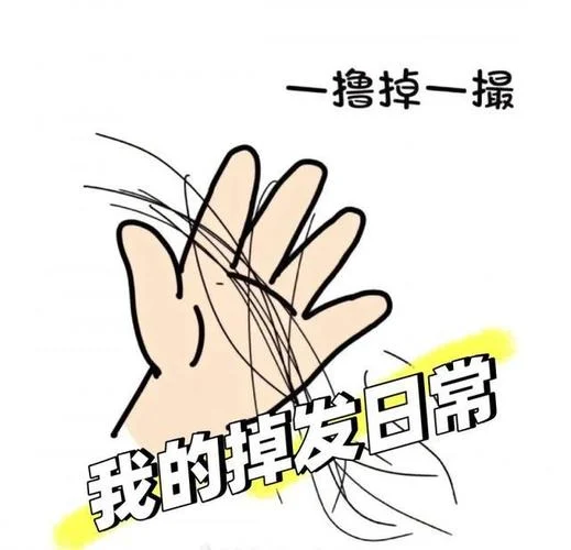 梦见自己的头发一抓就掉一撮-梦发一抓就掉