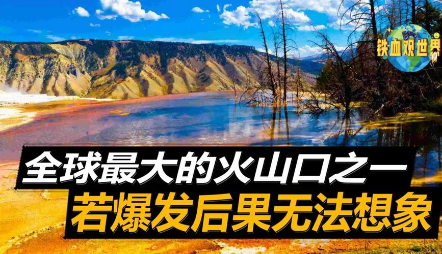 火山视频如何查播放量_1