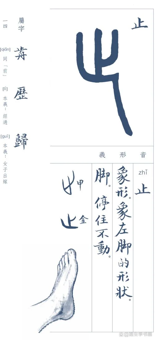 这的部首叫什么_1
