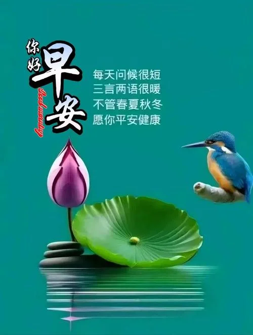 经典问候语录人生感悟_1