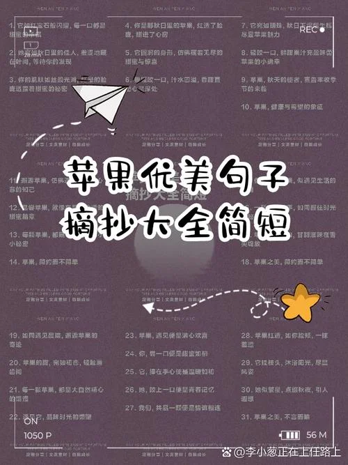 优美句子摘抄加出处_1