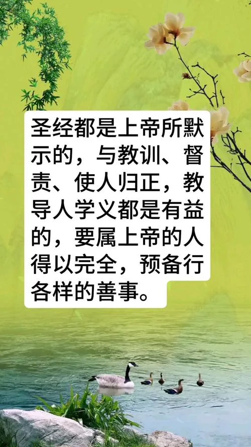 圣经出自_2
