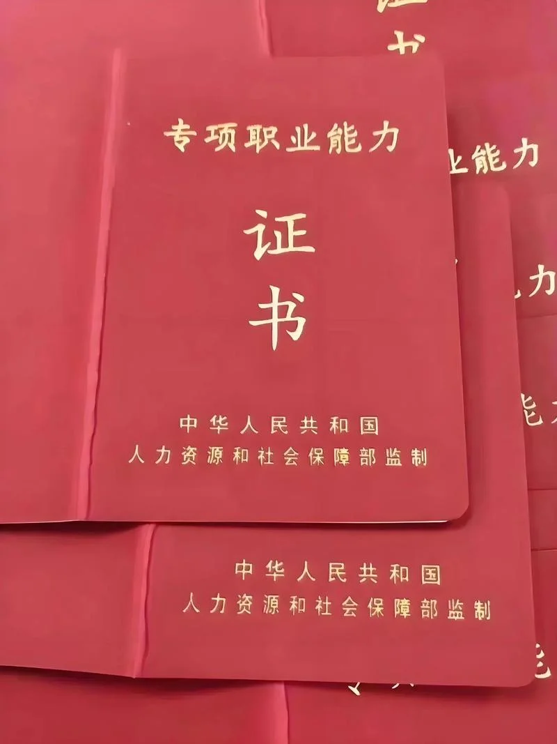个人职业技能证书查询-个人职业技能证书查询
