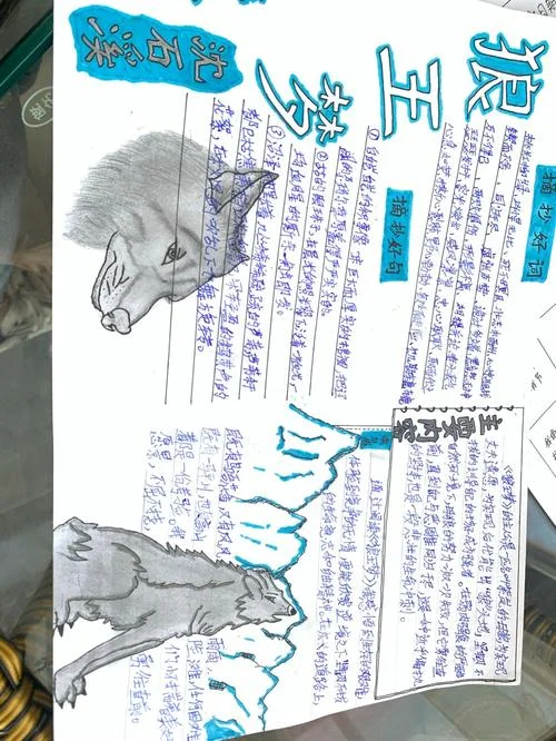 狼王梦作者简介怎么写_1