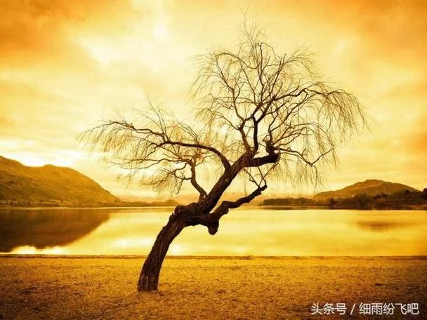 捧一踩一的感悟_2
