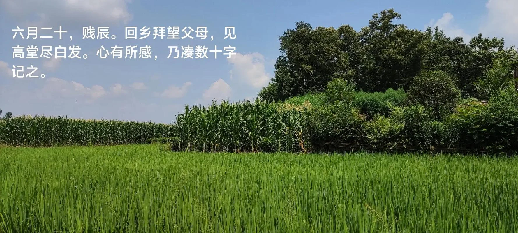 皆出自辰哀_1