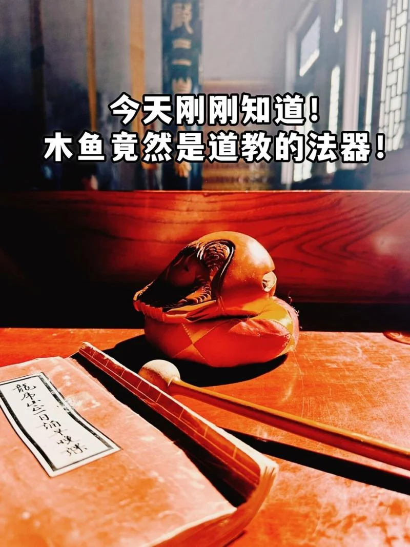 木鱼的真名叫什么_1