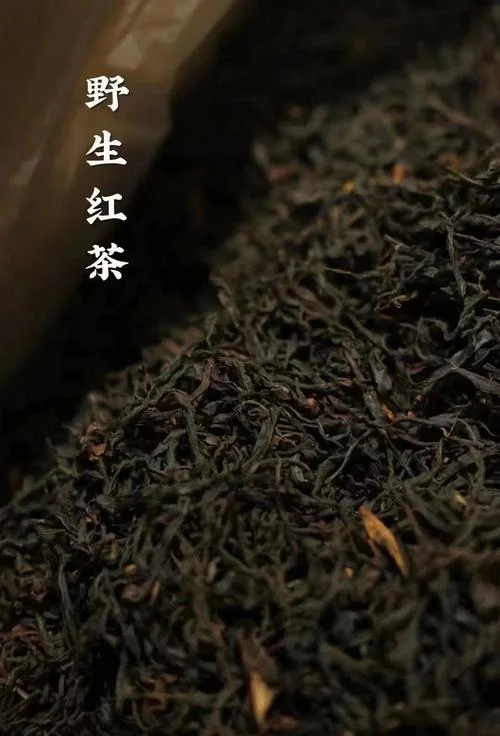 晒红茶简介-晒红茶简介 晒红茶简介-晒红茶简介