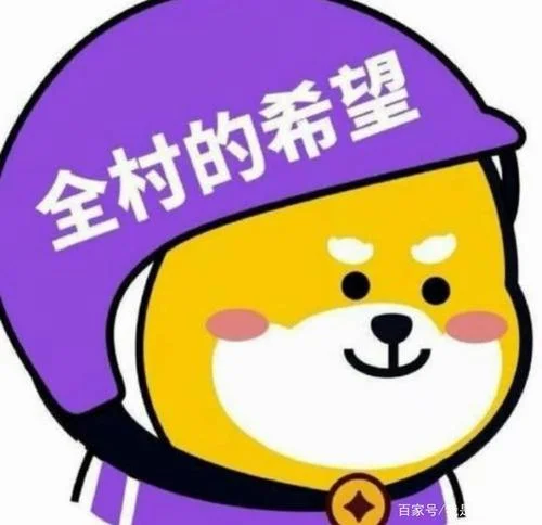 全村的希望下一句怎么接_1