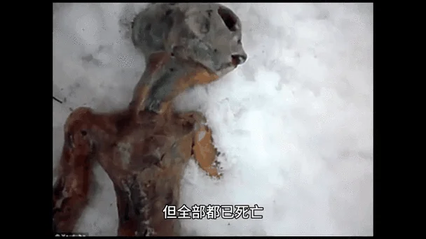 中国历史上的ufo事件-中国 UFO 历史事件