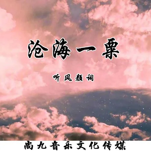 沧海一粟下一句歌词_2