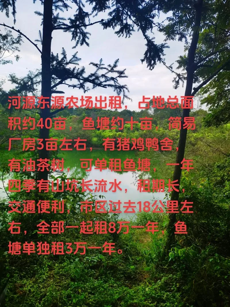 鱼塘建设多少钱一亩_2