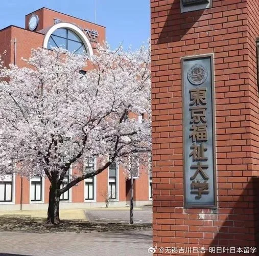日本大学院留学失败_1