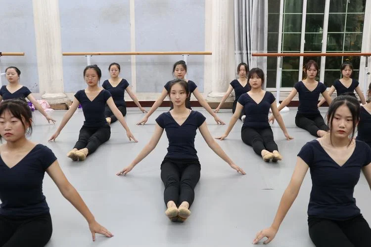 学习舞蹈艺考_2