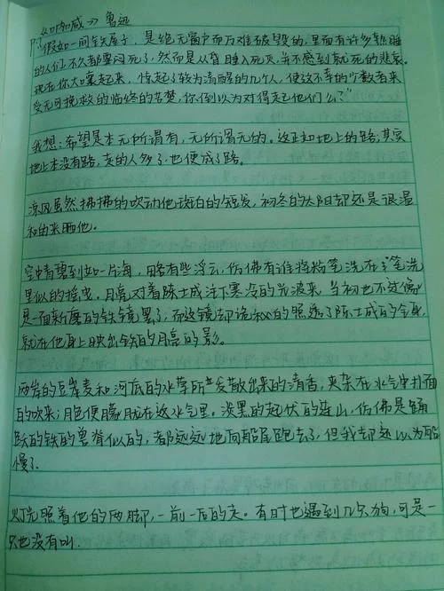 呐喊读后感。800-呐喊读后感 800