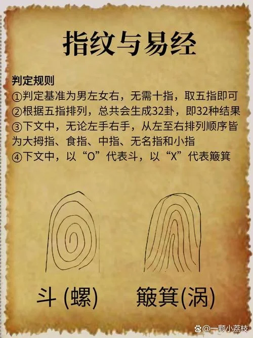 手相五角星纹食脂中脂-手相五角星纹中脂食