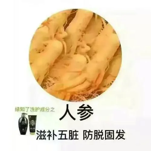 绿知了怎么做代理-绿知了代理怎么做