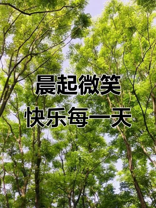 天天好心情下一句_2