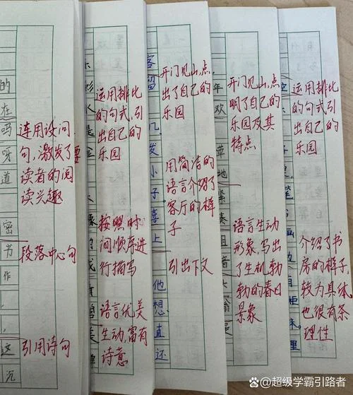 写事的作文300字批注-作文批注300字改写