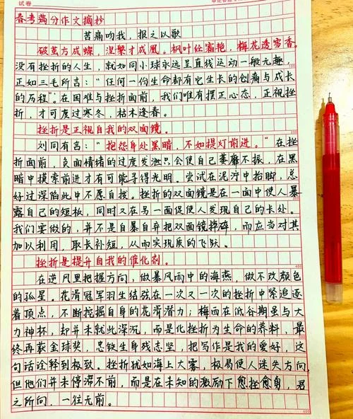 王江涛考研作文20篇_2