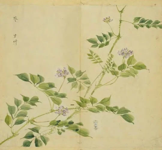 若汐出自诗经哪一句_1