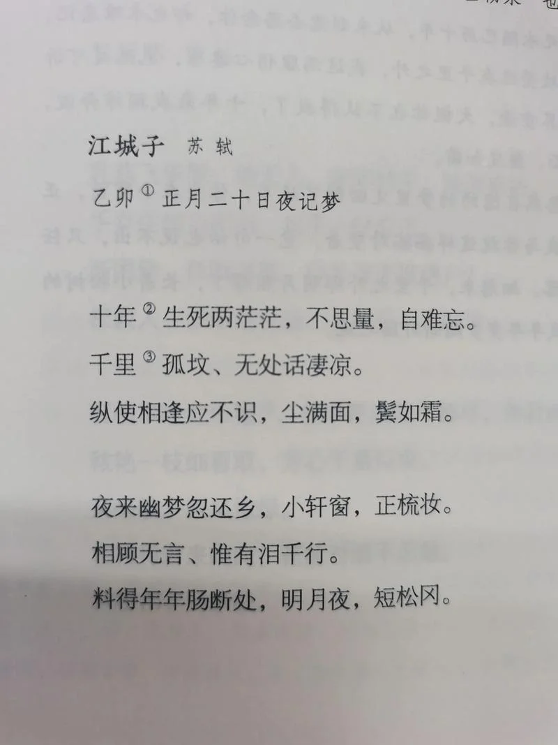 江城子原文是谁写的_2
