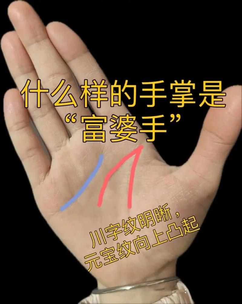 不会赚钱的手相女人_1