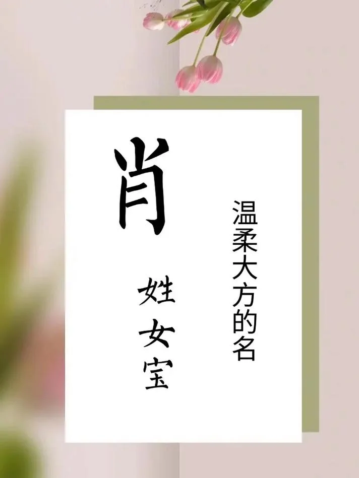 肖姓女孩起名两字免费_2
