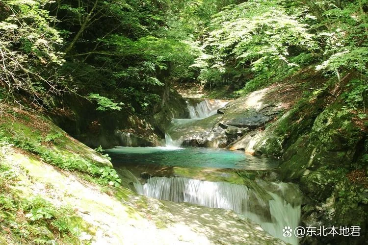 亲近大自然的旅游景点_1