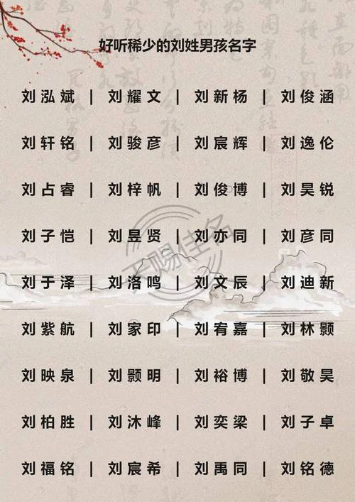 鼠宝宝起名大全100分_2