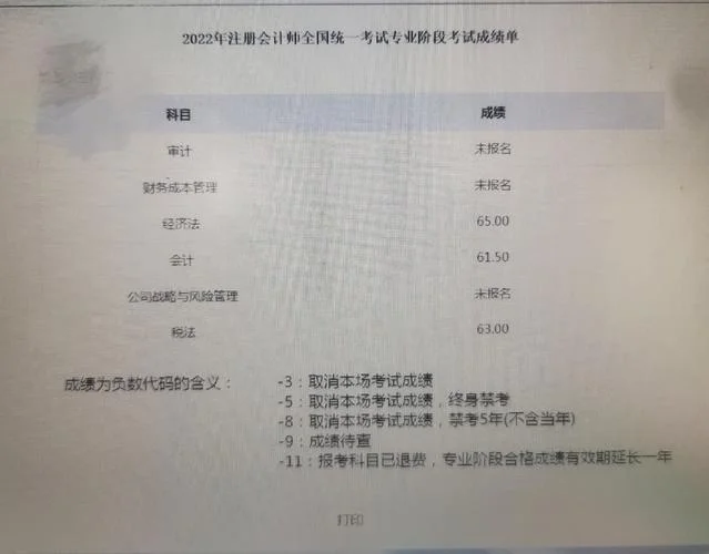 2019cpa查询成绩_1