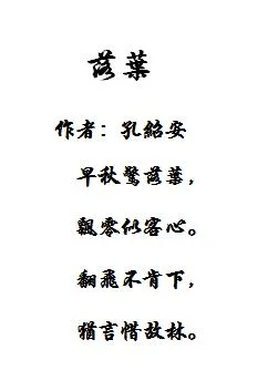 落叶的作者是谁_2