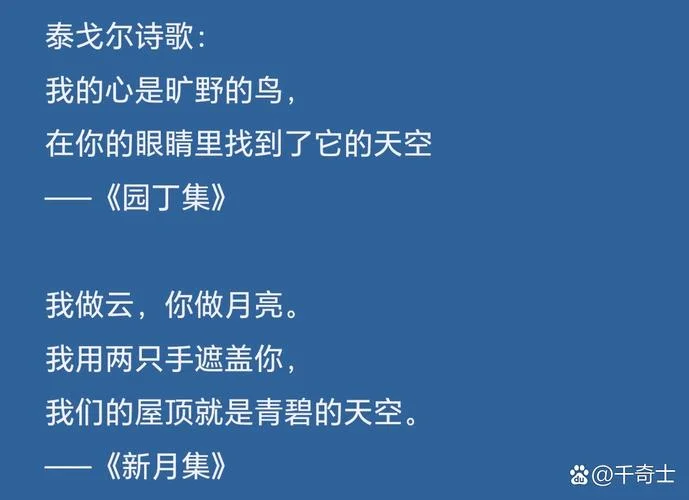 我的心是旷野的鸟出处_1