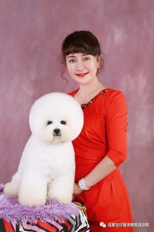 宠物美容师资格证几月_2