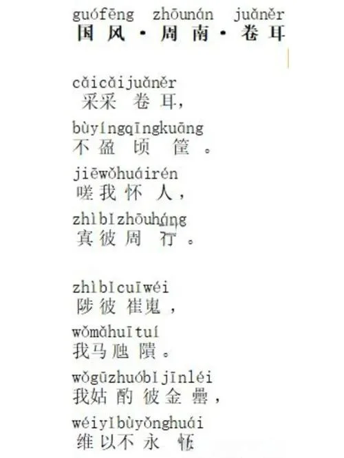 采采卷耳不盈顷筐出处-采采卷耳不盈筐