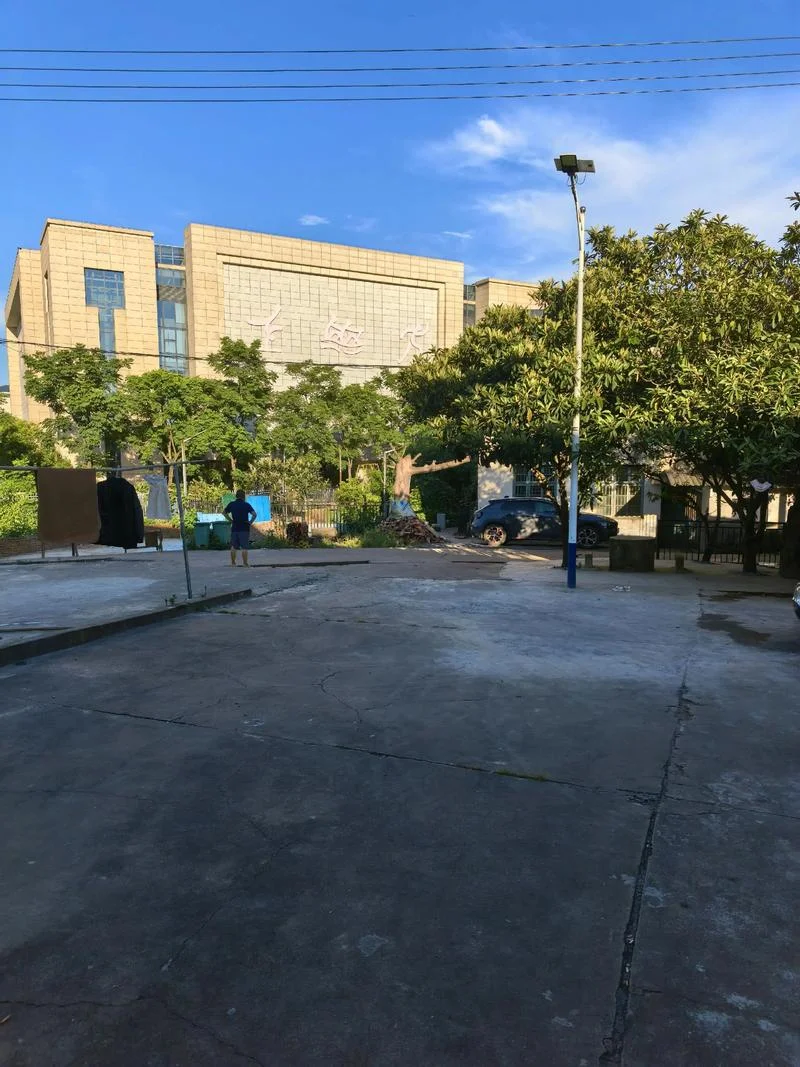 衡阳市第九中学地址_1