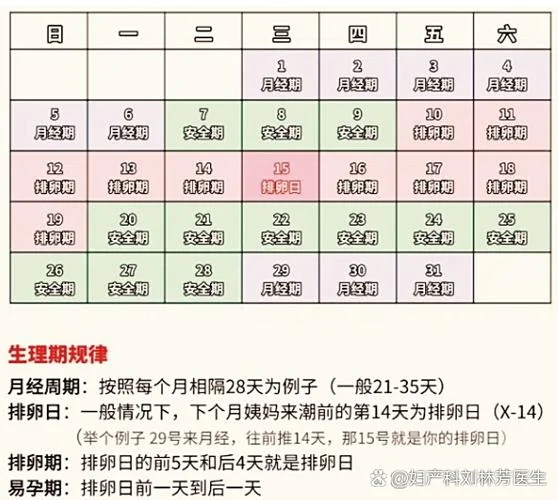 1号来月经什么时候是排卵期_1