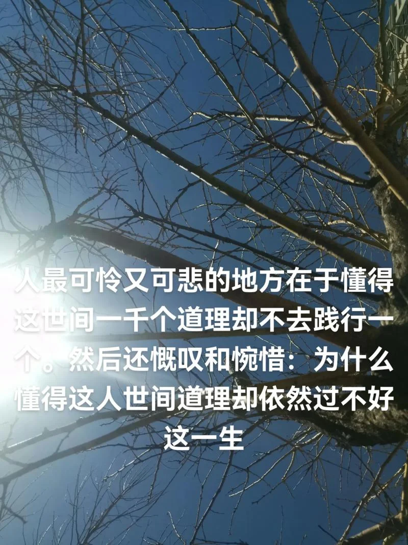 只有经历过才会懂得感悟_1
