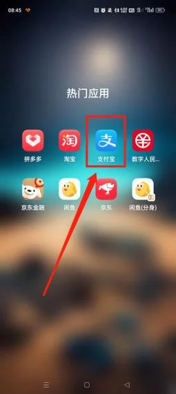 支付宝账号在哪里查_1