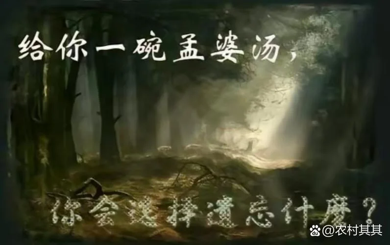 孟婆汤是用什么做的_1
