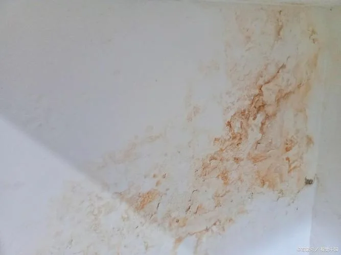 梦见墙壁上不断渗水_1
