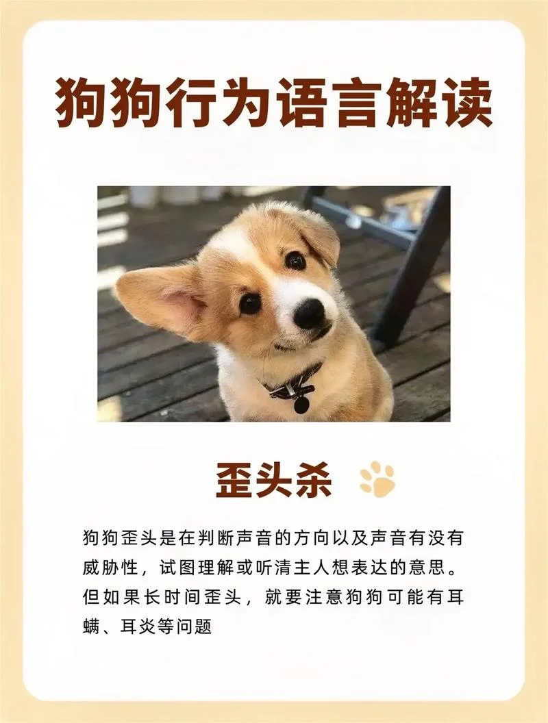 梦见狗和自己说话了_1
