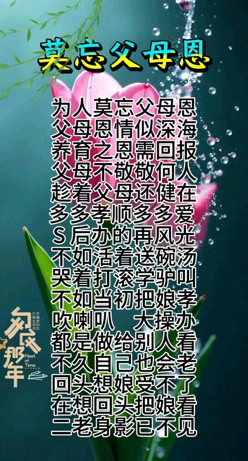 方知父母恩上一句_1