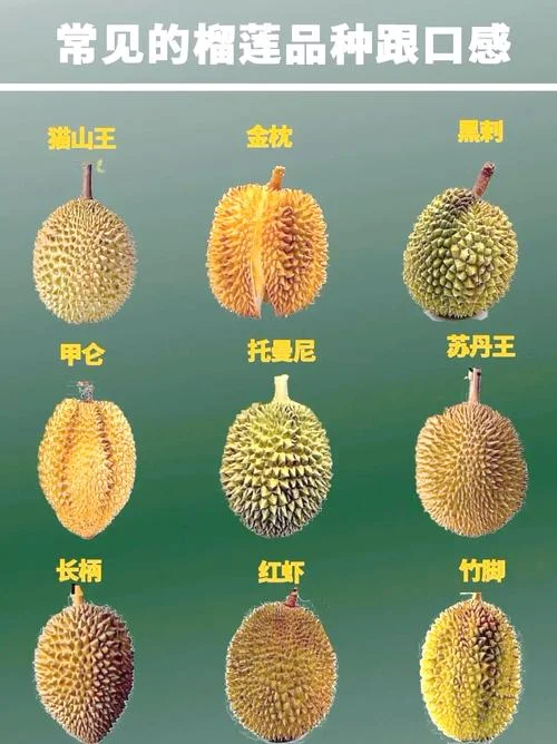 几月份榴莲最便宜-1 月榴莲最便宜