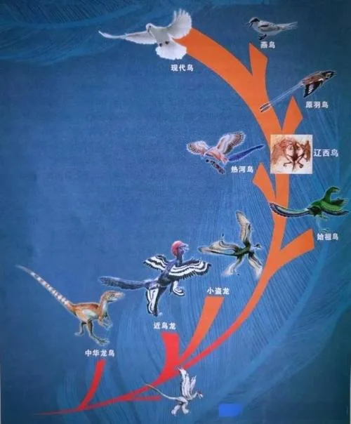 淮河的长度是多少千米_1