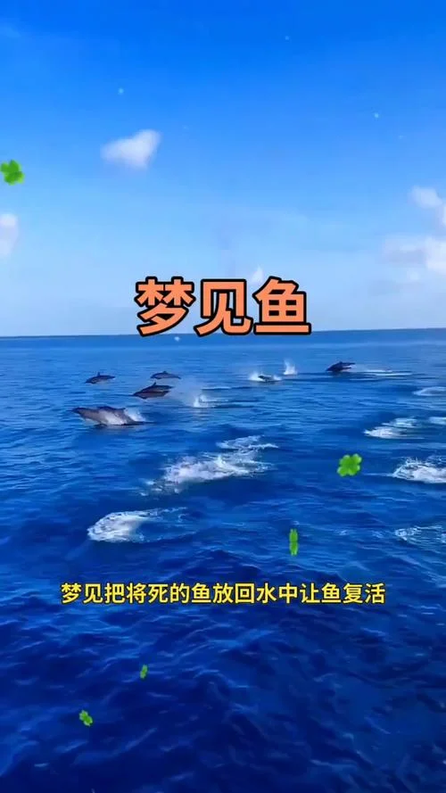 梦见好多冻鱼什么征兆-梦见冻鱼预示灾祸