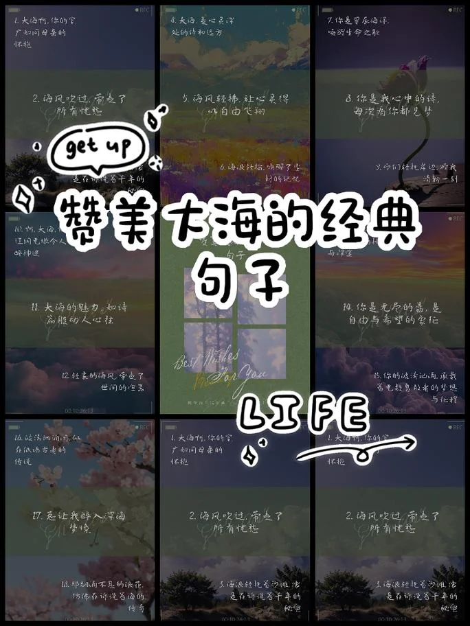 大海感悟人生的句子_1