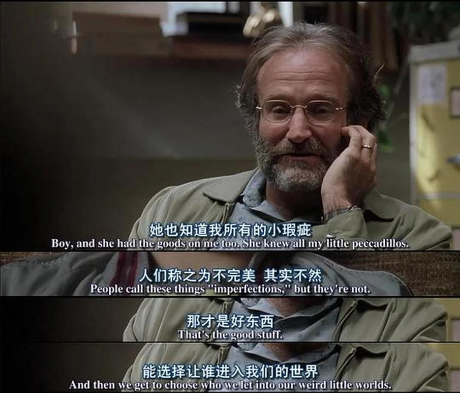 心灵捕手剧情介绍-心灵捕手剧情简介