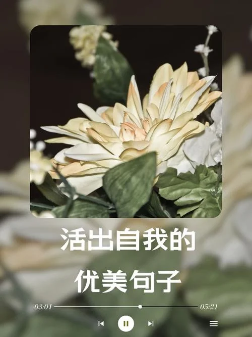 人生感悟说说唯美图片_1